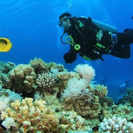 Victoria Loft Castell de Ferro